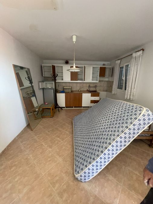 Fotografie 317575025