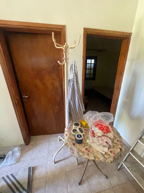 Fotografie 317575034