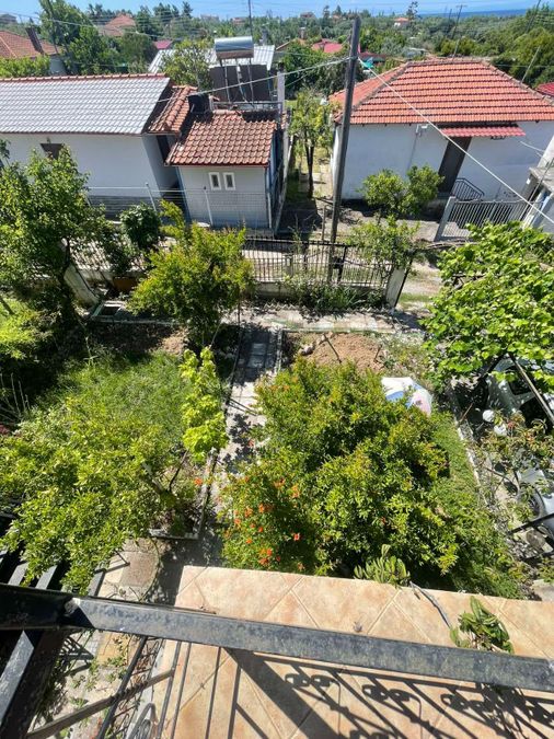 Fotografie 317575037