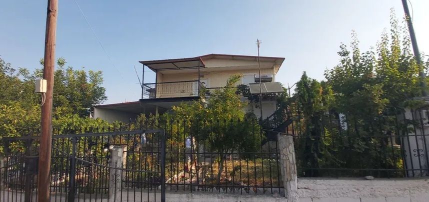 Fotografie 317575040