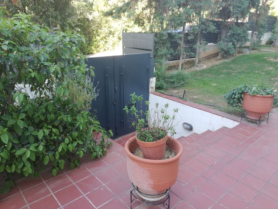Photo 317715980