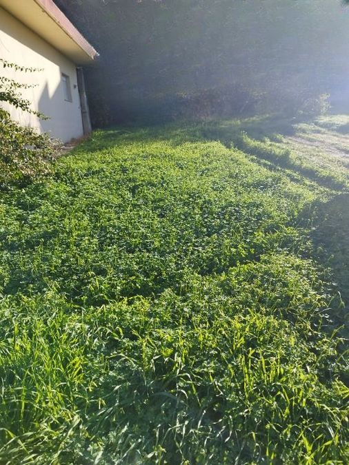 Photo 317828297