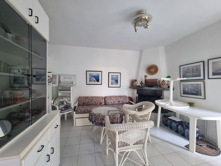 Fotografija 317855474