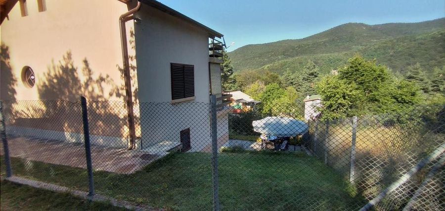 Снимка 317923934