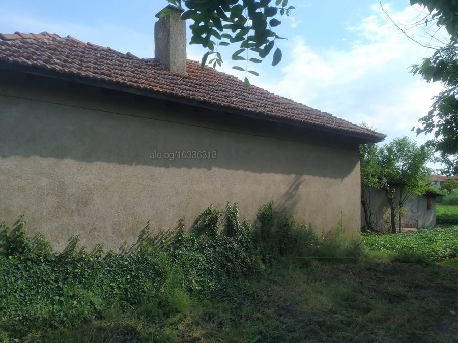 Снимка 318134243