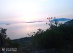Photo 318399155