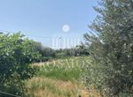 Photo 318516920