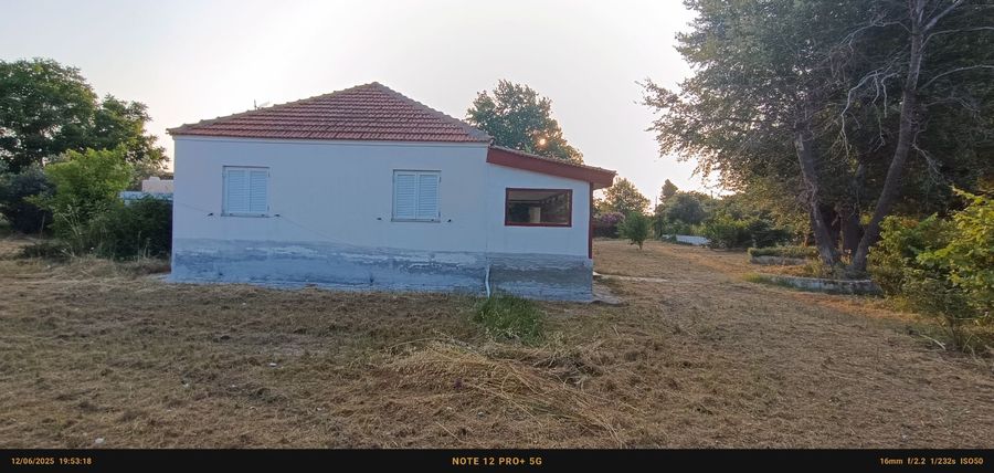 Снимка 318835289