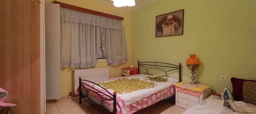Снимка 318835298