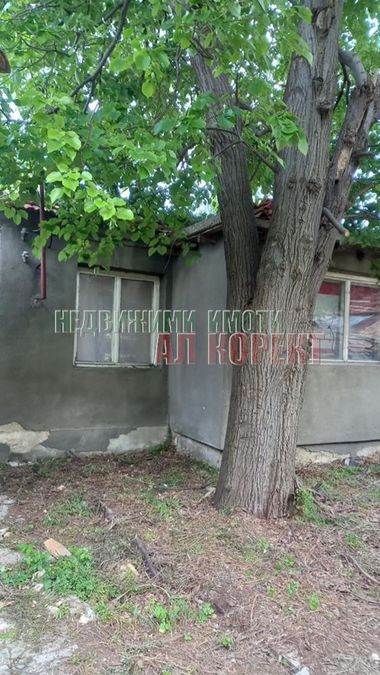 Снимка 318994580