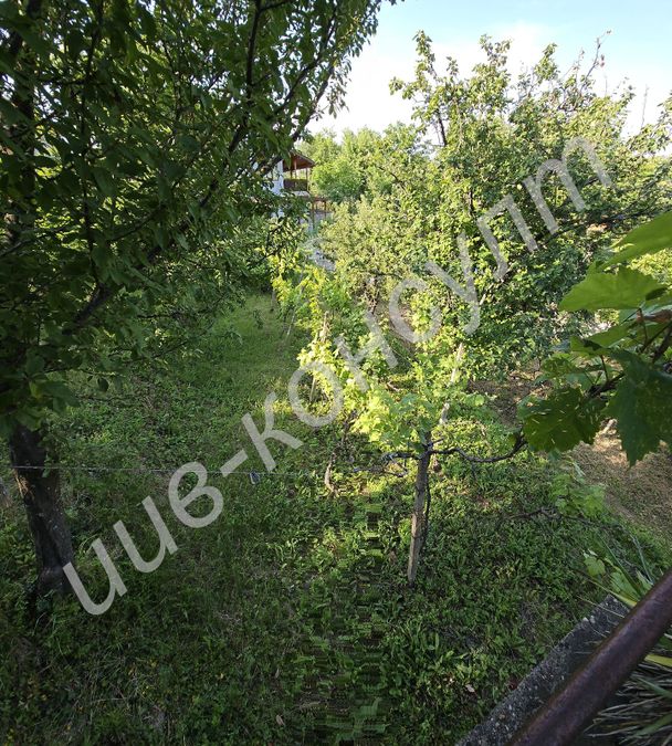 Снимка 319081622