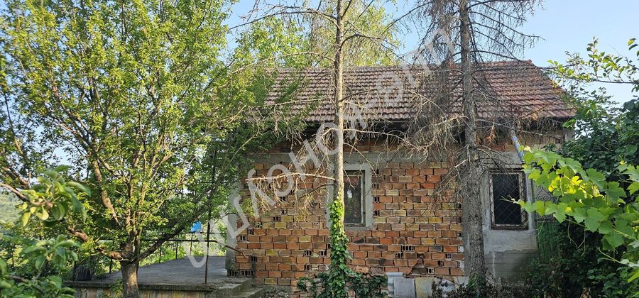 Снимка 319081667