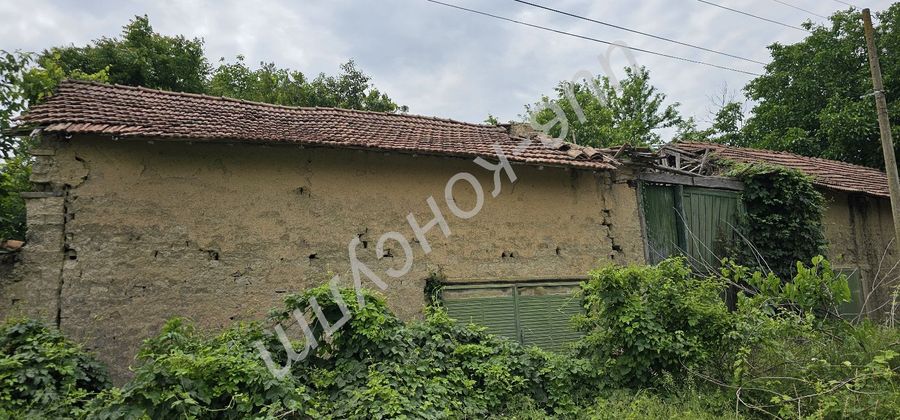 Снимка 319082462