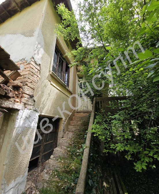 Снимка 319082486