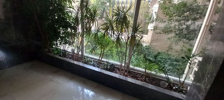 Photo 319583477