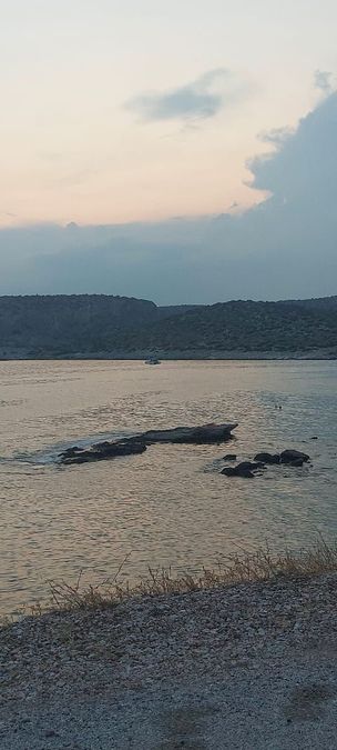 Photo 319629014