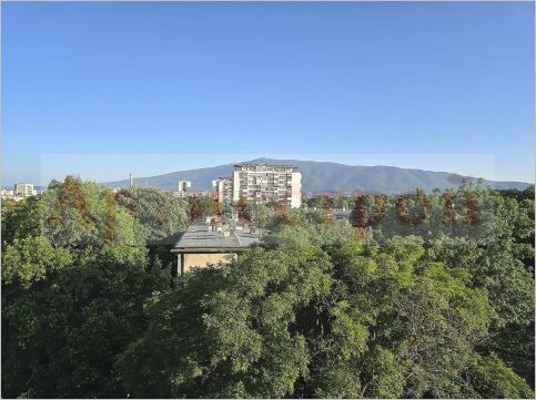 Снимка 319798517