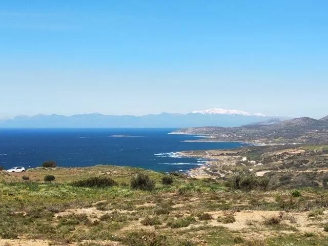 Photo 319827602
