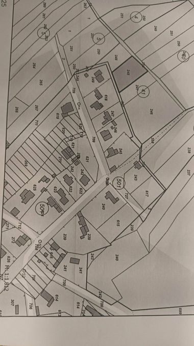 Снимка 319845116