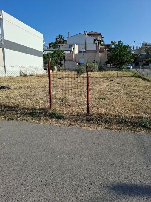 Photo 319897325