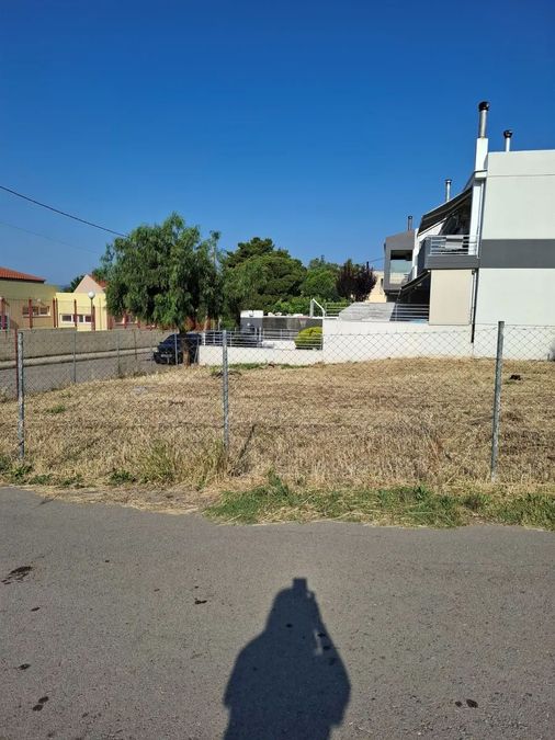 Photo 319897328