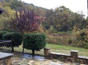 Photo 320131433