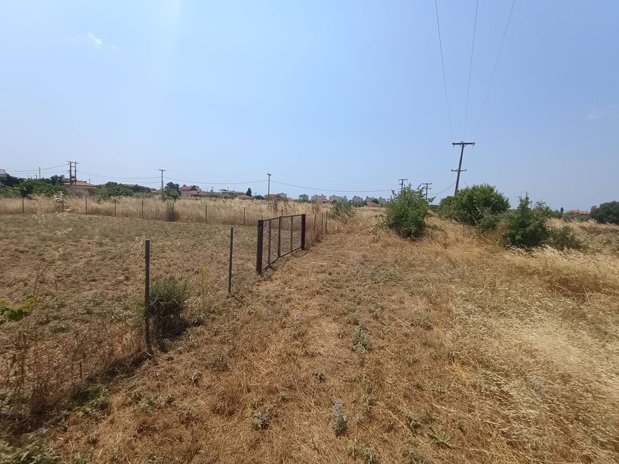 Photo 320194895