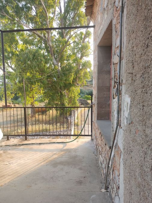 Photo 320198435