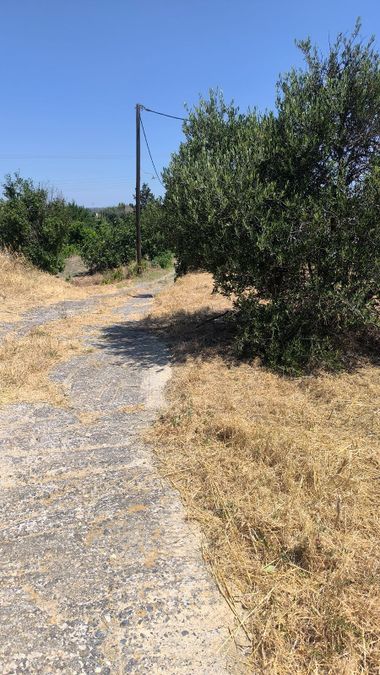 Photo 320321288