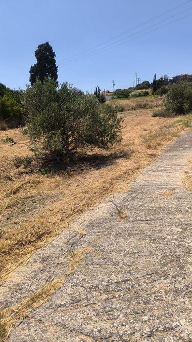 Photo 320321312