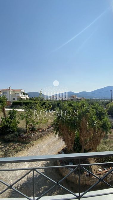 Photo 320367347