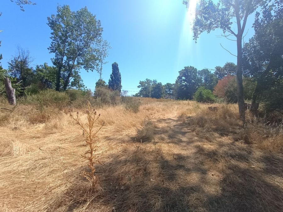 Photo 320792189