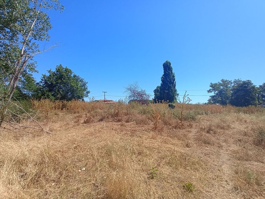 Photo 320792435