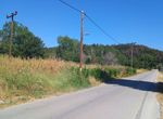 Photo 320792705