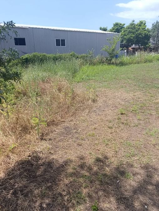 Photo 320881184