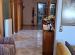 Photo 320933660