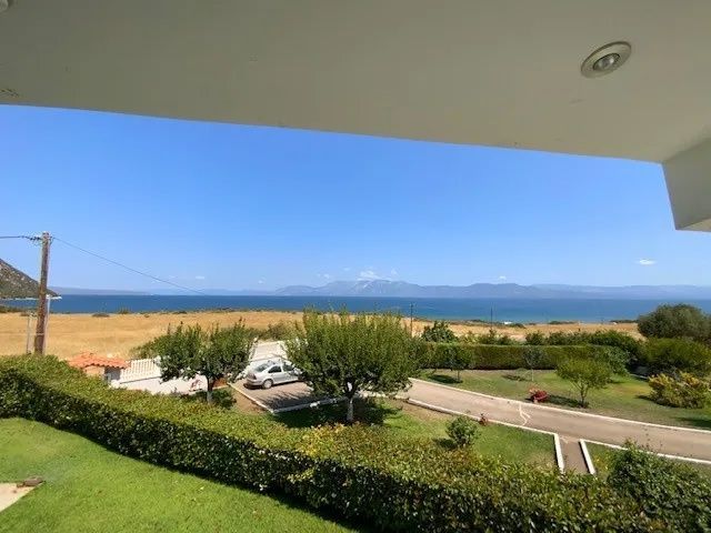 Photo 321085505