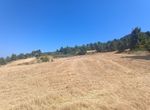 Photo 321291062