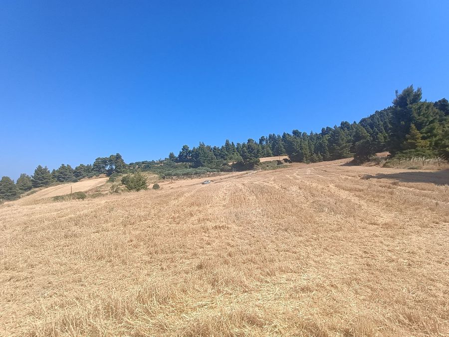 Photo 321291062