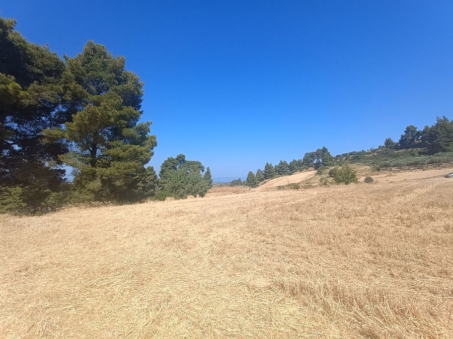 Photo 321291065