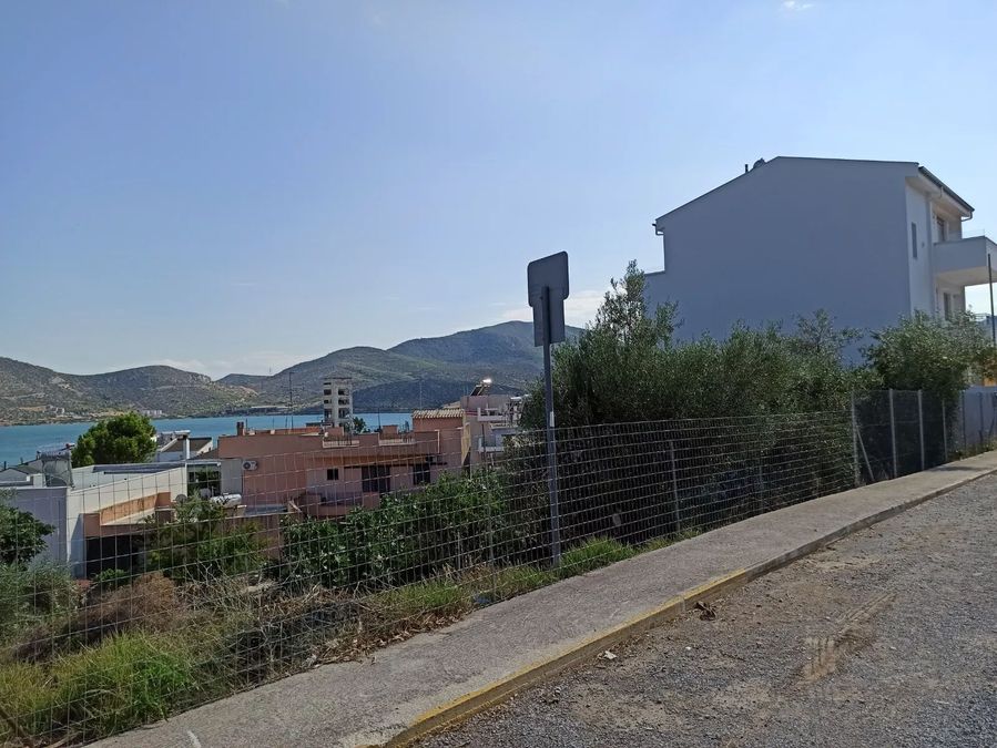 Photo 321393500