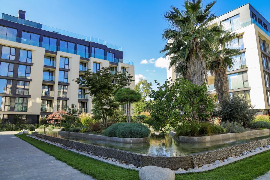 Снимка 321553979