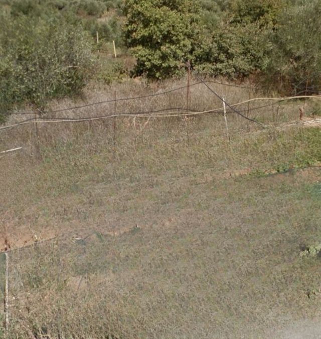Photo 321881849