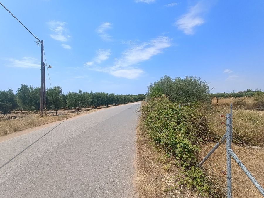 Photo 321900551