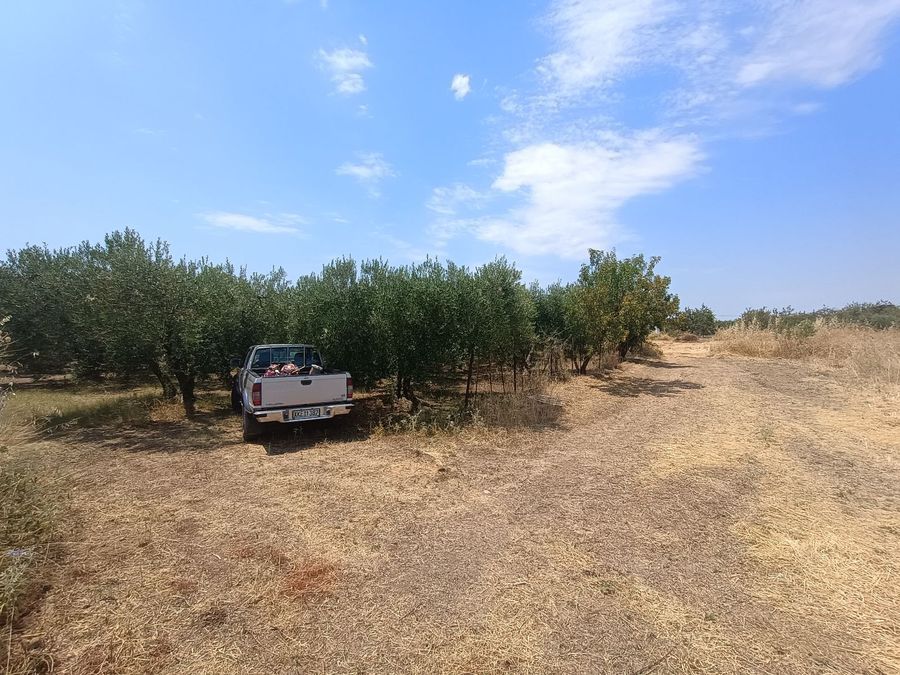 Photo 321900557