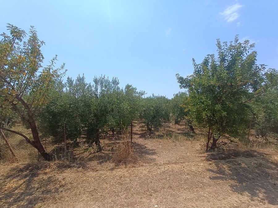 Photo 321900560