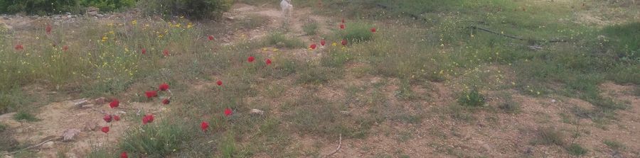 صورة فوتوغرافية 322026857