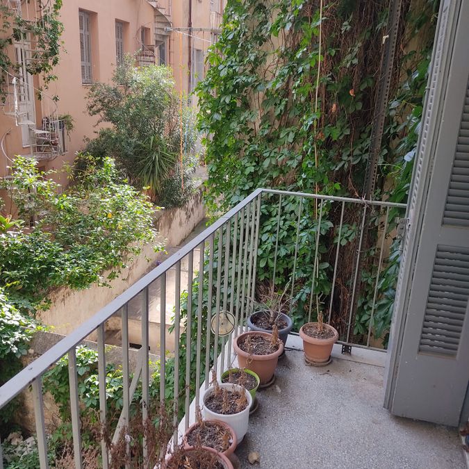 Photo 322279505