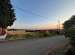 Photo 322282739