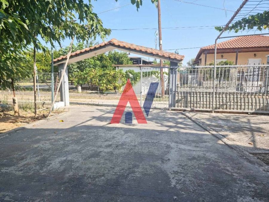 Fotografija 322322771
